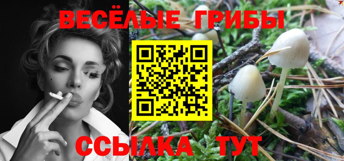 Галлюциногенные грибы ЛСД Полевской